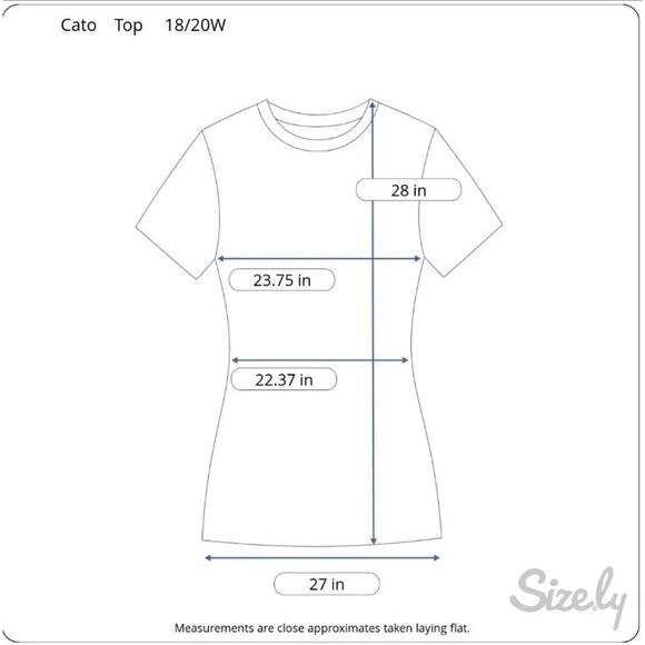 Cato Womens Top Size 18/20W V-Neck Short Flutter Sleeve Stretch Knit Pullover - Picture 2 of 10